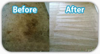 Carpet Before and After